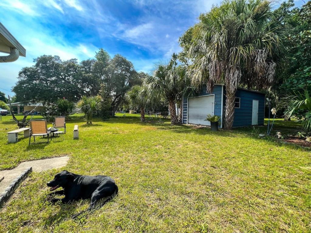 Вилла House Of Shells, Beautiful Garden, Fenced Yard, Dog Friendly, Fire Pit! Кристал-Ривер Экстерьер фото